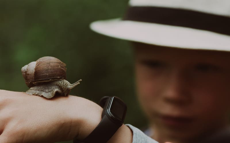 Pet Snail Names