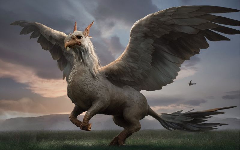 male hippogriff names